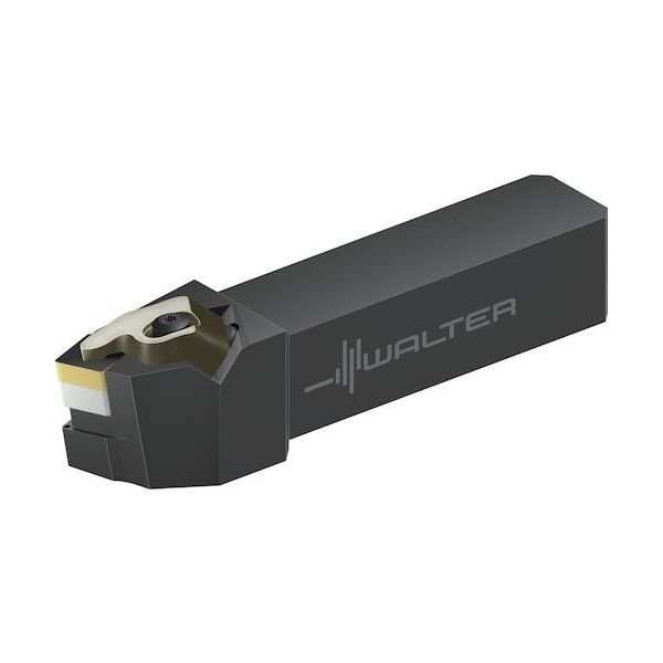 ワルタージャパン Walter シャンク工具 リジットクランプ DSBN...ーP DSBNL2525X12-P 1個 412-3746（直送品）