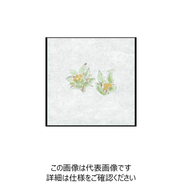 大黒工業 大黒 シースル掛紙 No.11 (ふき) 97940 1組(100枚) 236-1894（直送品）