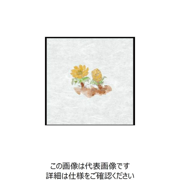 大黒工業 大黒 シースル掛紙 No.14 (福寿草) 97970 1組(100枚) 236-6637（直送品）