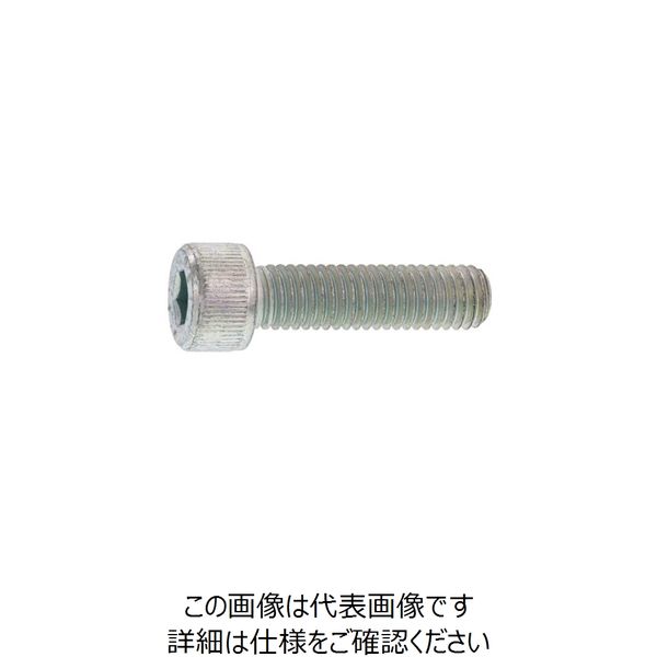 SUNCO ステンCAP 日本鋲螺 8 X 55 (100本入) A0-02-000B-0080-0550-00 1箱(100本)（直送品）