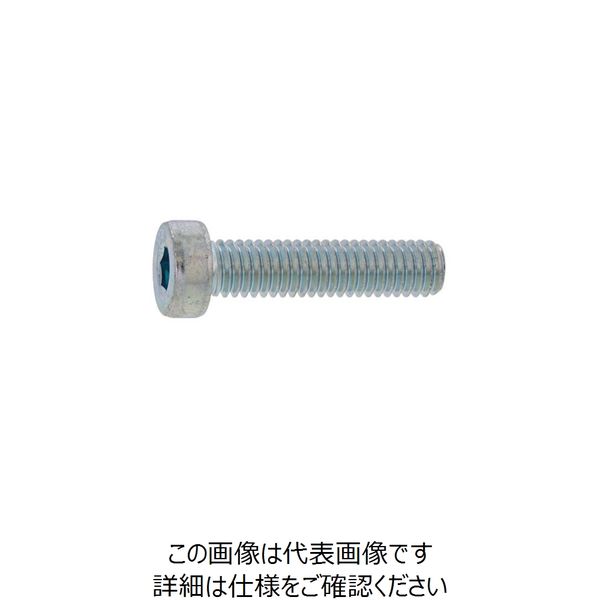 SUNCO 三価ブラック ローヘッドCAP 10 X 25 （100本入） A0-00-L000-0100-0250-04 243-4322（直送品）