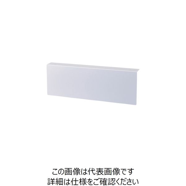 日本緑十字社 緑十字 高輝度蓄光標識貼付用プレート 天井用 TEP1236 130×384mm 白 樹脂製 377010 1枚（直送品）
