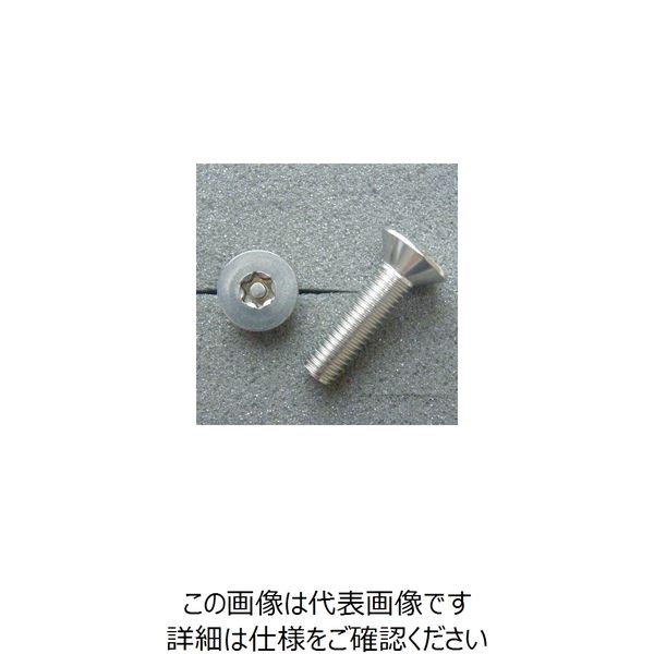 ジャパンオートプレス TRXボルト サラタイプ (2本入り) M8x30mmxP1.25 DBXS8030 1セット(2PC)（直送品）