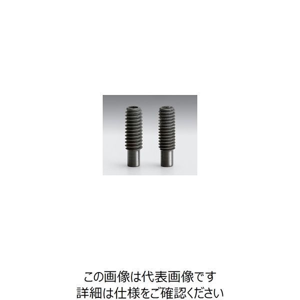 シグマ光機 棒先止めネジ A21mm B17mm SC-8U-21UU 1セット(10個) 61-6965-30（直送品）