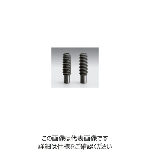 シグマ光機（SIGMAKOKI） 棒先止めネジ A21mm B17mm SC-M4-21EE 1セット（10個） 61-6965-35（直送品）
