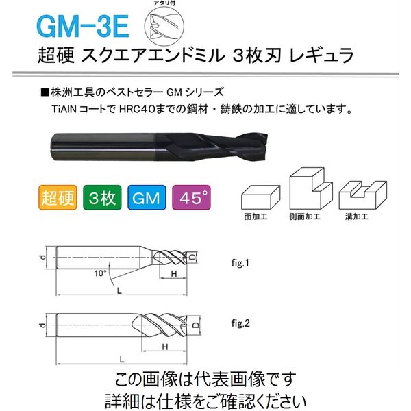 株洲ダイヤモンド切削工具 超硬 スクエアエンドミル 3枚刃 レギュラ GM-3E-D3.0S 1セット(5本)（直送品）