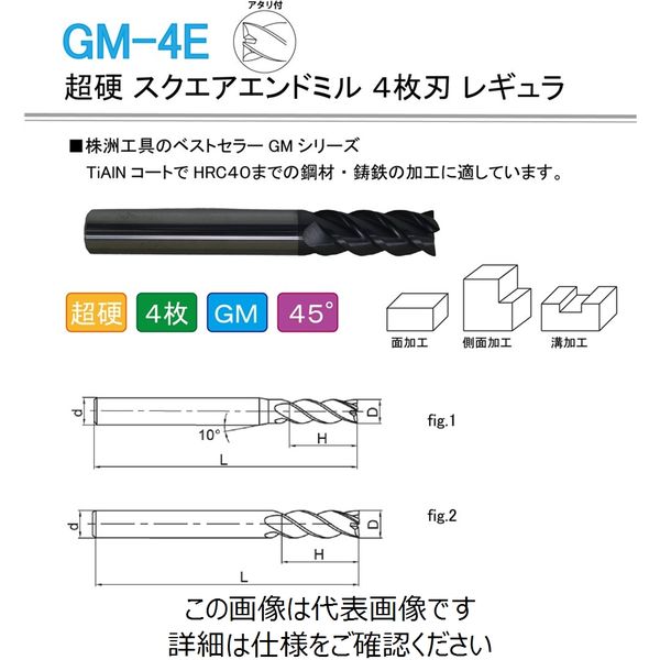 株洲ダイヤモンド切削工具 超硬 スクエアエンドミル 4枚刃 レギュラ GM-4E-D10.0 1セット(2本)（直送品） - アスクル