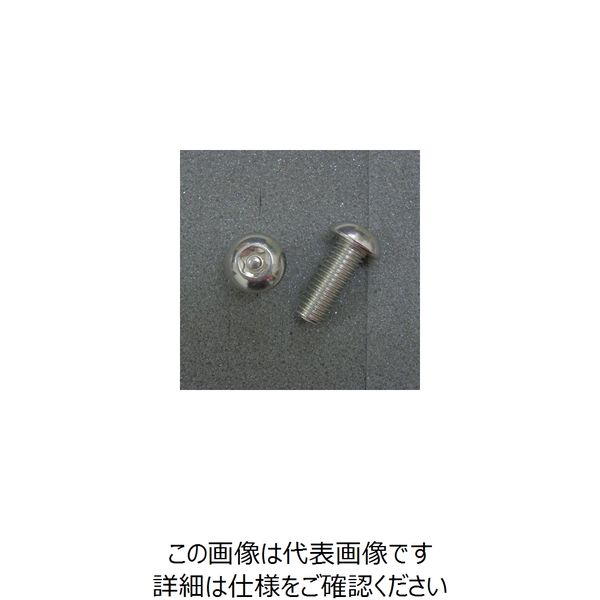 JP Moto-Mart TRXボルト ボタンタイプ （2本入り） M10x25mmxP1.5 1PC DBX1025（直送品）