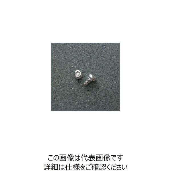 ジャパンオートプレス TRXボルト ボタンタイプ (2本入り) M6x10mm DBX6010 1セット(3PC)（直送品）