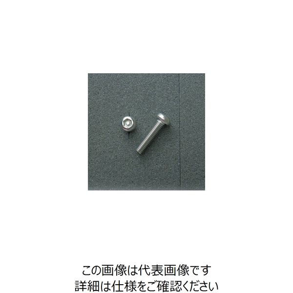 JP Moto-Mart TRXボルト ボタンタイプ （2本入り） M6x25mm 1セット（2PC） DBX6025（直送品）
