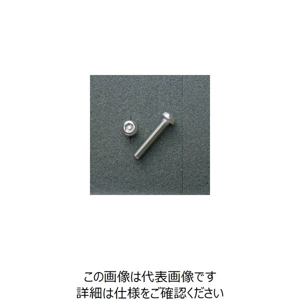 JP Moto-Mart TRXボルト ボタンタイプ （2本入り） M6x30mm 1セット（2PC） DBX6030（直送品）