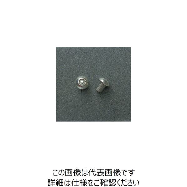 ジャパンオートプレス TRXボルト ボタンタイプ (2本入り) M8x10mm DBX8010 1セット(3PC)（直送品）