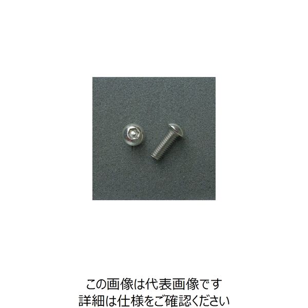 JP Moto-Mart TRXボルト ボタンタイプ （2本入り） M8x20mm 1セット（2PC） DBX8020（直送品）