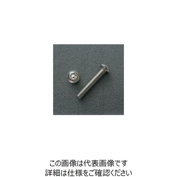 JP Moto-Mart TRXボルト ボタンタイプ （2本入り） M8x40mm 1セット（2PC） DBX8040（直送品）