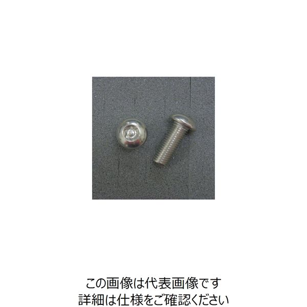 JP Moto-Mart TRXボルト ボタンタイプ （2本入り） M10x25mmxP1.25 1PC DBXP1025（直送品）