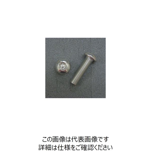 JP Moto-Mart TRXボルト ボタンタイプ （2本入り） M10x35mmxP1.25 1PC DBXP1035（直送品）