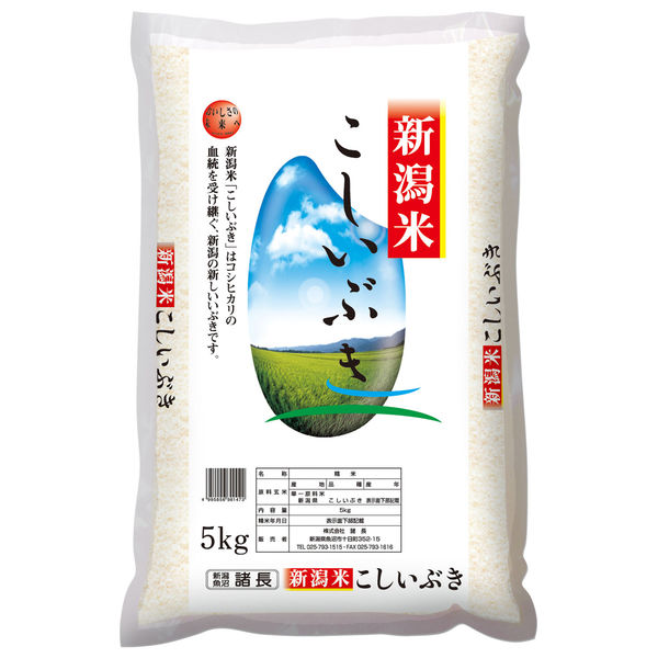 精白米 新潟県産こしいぶき 5kg 令和5年産 米 お米 - 米