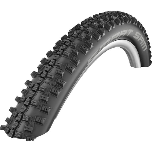 SCHWALBE スマートサム ブラック（29×2.60） 4026495855457 1本（直送品）