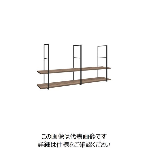 DICデコール CRAFITS ラダーフレーム棚セット(RT) RT-K3-W17 1セット 248-5556（直送品）