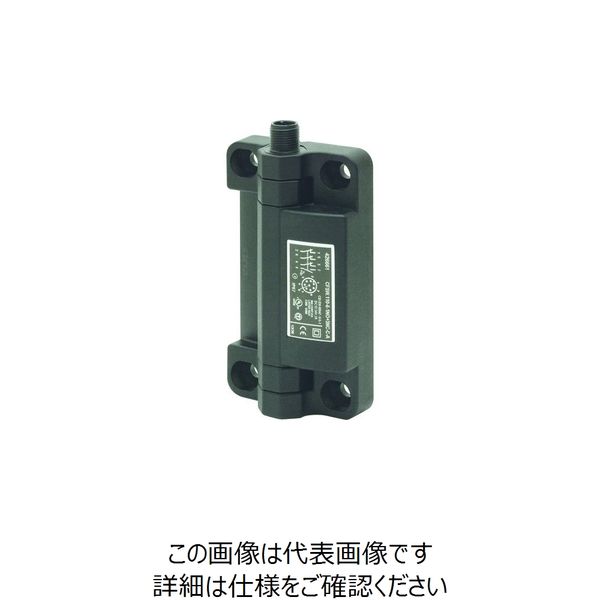 イマオコーポレーション ELESA エンプラフラットヒンジ SWEFH110-13CA 1個 213-4788（直送品）