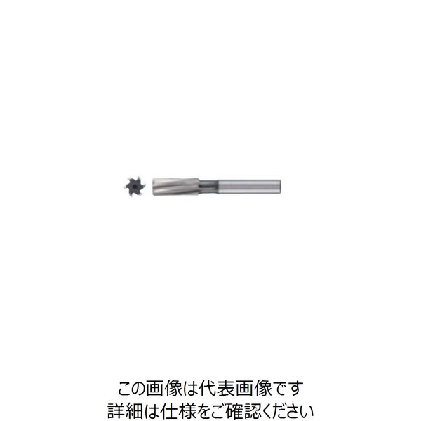 グーリングジャパン（GUHRING） HSS-E ハイスリーマ #497 497 10.04 1セット（2本）（直送品）