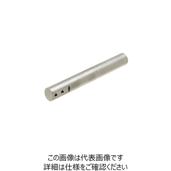 岩田製作所 IWATA シングルプレート用シャフト FSM3A200-12S 1個 222-8279（直送品）