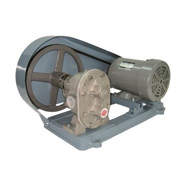 亀嶋鐵工所 NK オールステンレスギヤーポンプ(電動機連結型) KA-1SU 1/2 1台 850-9692（直送品）