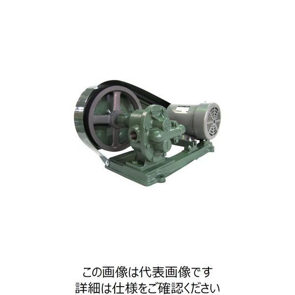 亀嶋鐵工所 NK ギヤーポンプ(安全弁付・電動機連結型) KA-2S 3/8 1台 850-9703（直送品）