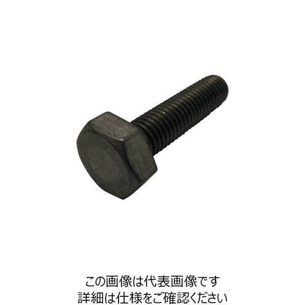 コノエ 六角ボルト 全ねじ チタン M10x35 BT-TI-F-1035 1本 261-4628（直送品）