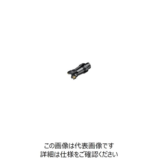 サンドビック SANDVIK コロボアBR20 スライド(530) BR20-29CC06F-C3 1個 868-9616（直送品）