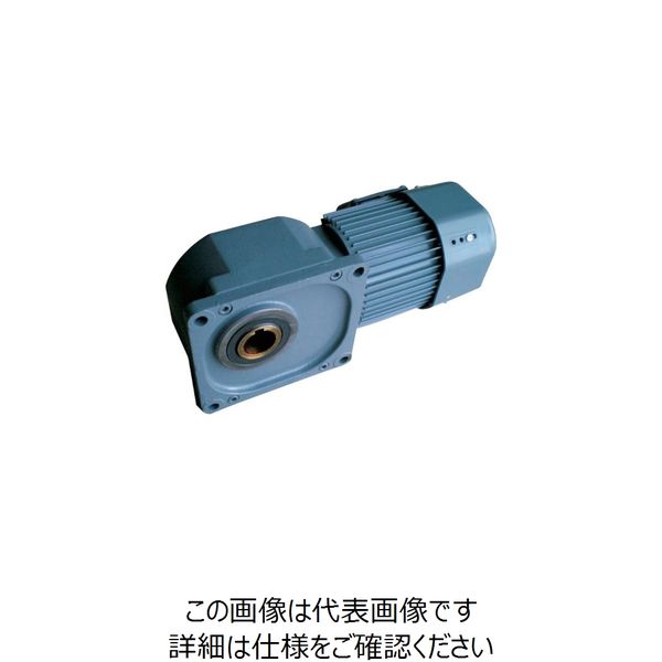 シグマー技研 シグマー 中空軸フランジ取付形減速機 三相0.4KW 減速比1/10 ブレーキ無 TMHF-04-10 1台 848-4487（直送品） 33,907円