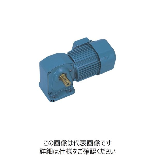 シグマー技研 シグマー 直交軸脚取付形減速機 三相0.1KW 減速比1/240 ブレーキ無 TMHL-01-240A 1台 848-4540（直送品）