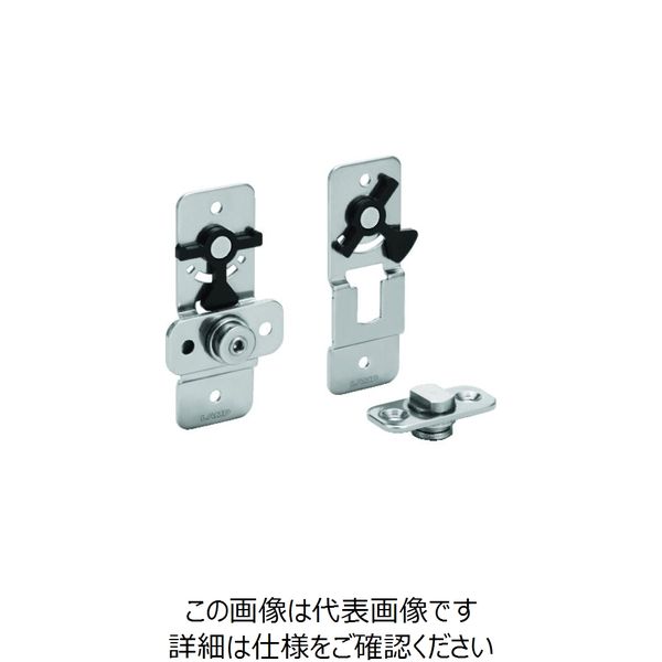 スガツネ工業 SUGATSUNE (170033319)HGーRNM30ーSET欄間用トルクヒンジ HG-RNM30-SET 1セット（直送品）