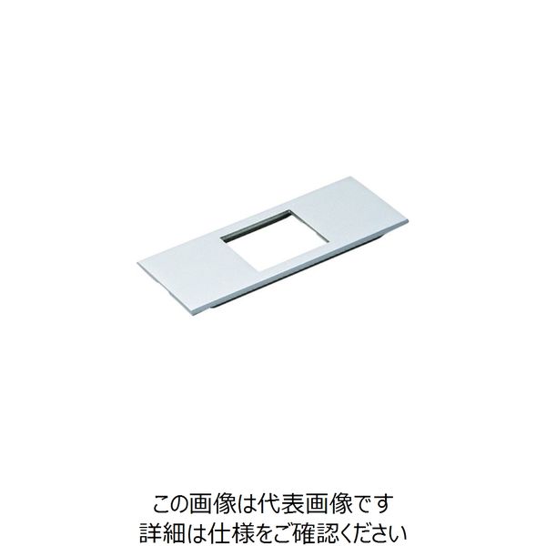 スガツネ工業 SUGATSUNE (210040764)DMFH1ーEAーSL/コンセントプレート DMFH1-EA-SL 1個（直送品）