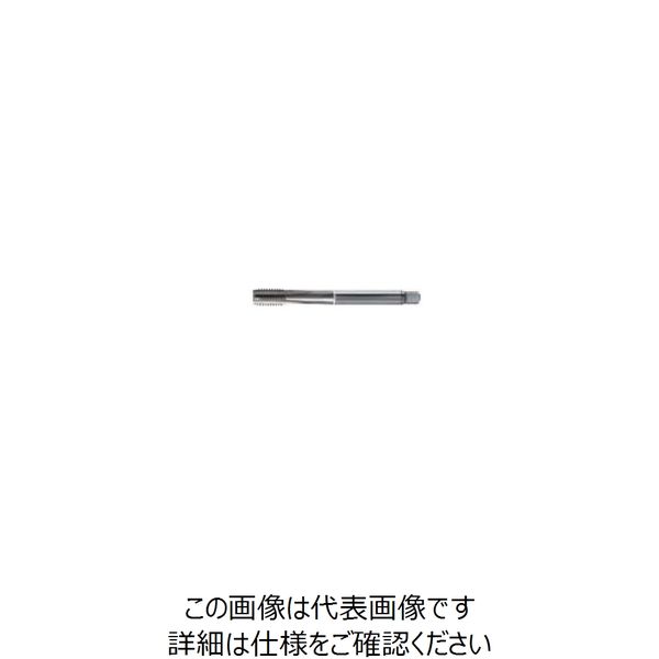 グーリングジャパン（GUHRING） ストレートミゾタップ #4452 4452 6 1セット（6本）（直送品）