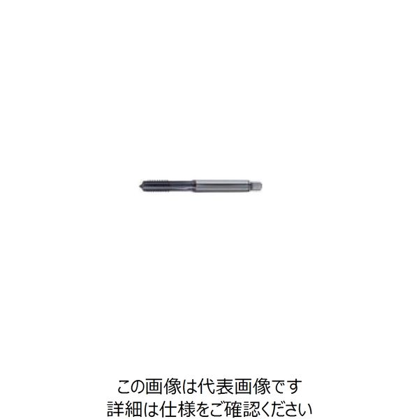 グーリングジャパン（GUHRING） ストレートミゾタップ #4453 4453 5 1セット（2本）（直送品）