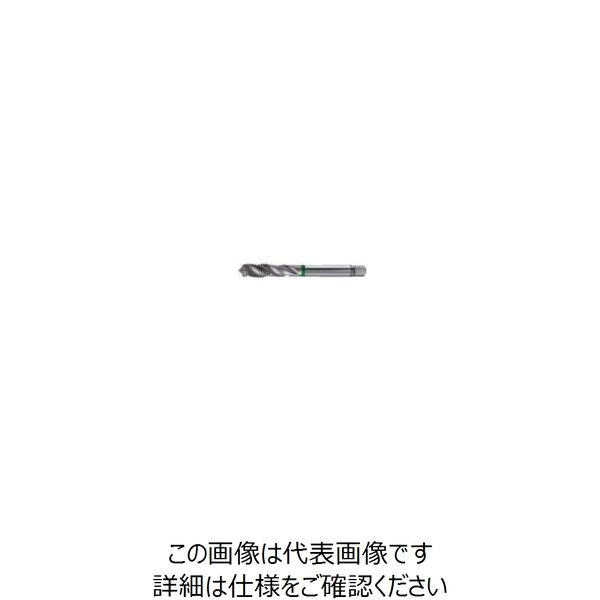 グーリングジャパン（GUHRING） スパイラルタップ #1012 1012 1.2 1セット（2本）（直送品）