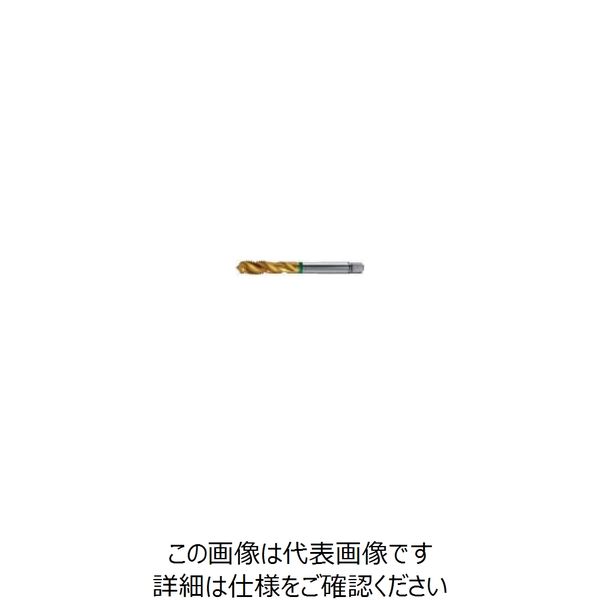 グーリングジャパン（GUHRING） スパイラルタップ #1013 1013 12 1セット（2本）（直送品）