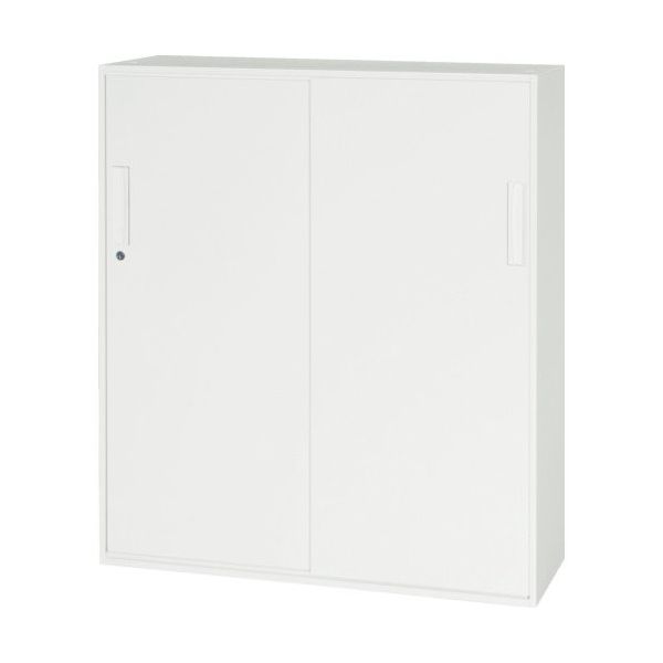 ダイシン工業 ダイシン 壁面収納庫 引戸型 下置き専用 ホワイト