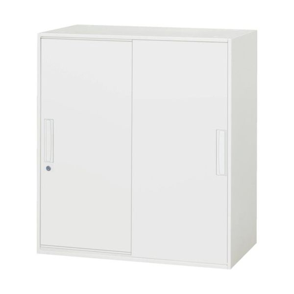 ダイシン工業 DAISHIN 壁面収納庫 引戸型 上下兼用W800 ホワイト V845-09S 1台 856-9638（直送品）