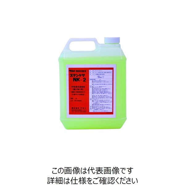 タセト 焼け取り用電解液 中性 ステンケヤNKー2 4L SCNK2-4 1個 147-6185（直送品）