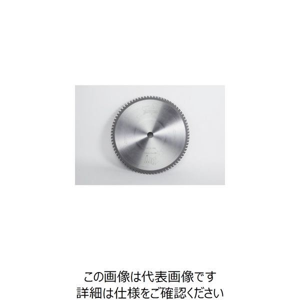谷テック タニ ドライチップソー鉄鋼用DTS405x2.5x40Hx80Z ミタチ用 DTS405X2.5X40HX80Z 1枚 722-1231（直送品）