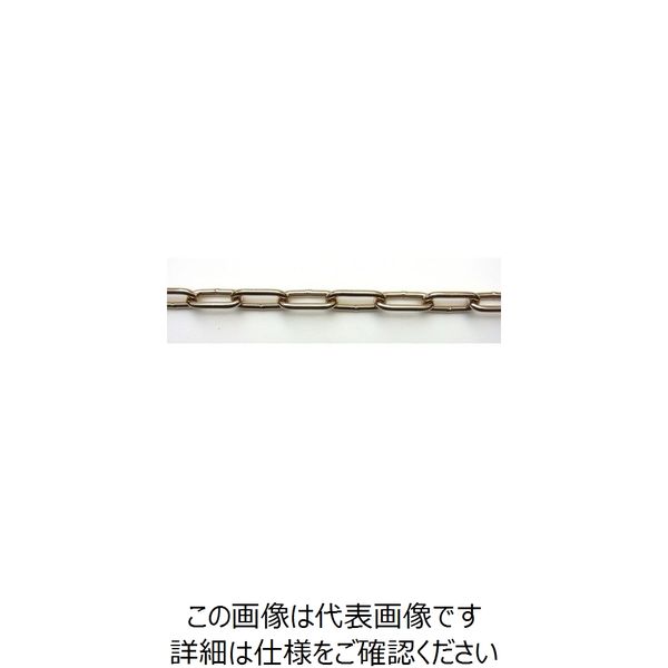 ニッサチェイン ファインカラーチェン 15m 金 IW48E-GD 1本 126-6145（直送品）