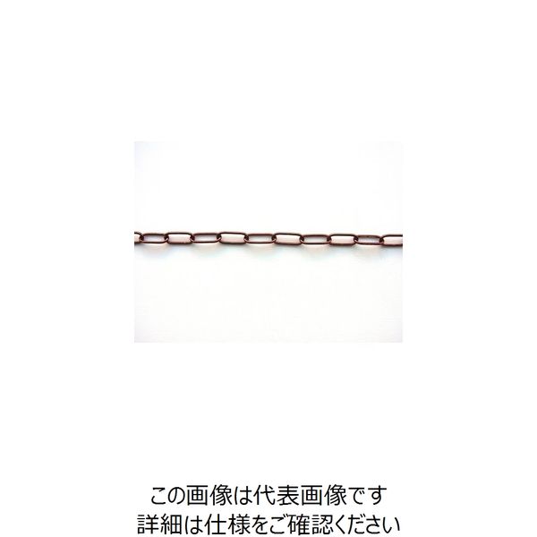 ニッサチェイン 鉄カラーリンクC 15m巻 茶 R-IL30E-BR 1巻(15m) 127-8752（直送品）