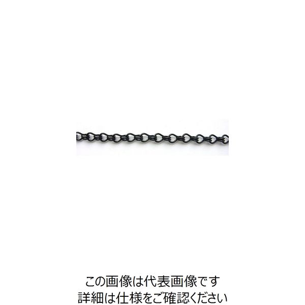 ニッサチェイン 鉄カラー二重 15m巻 黒 R-IR16E-BK 1巻(15m) 127-4010（直送品）
