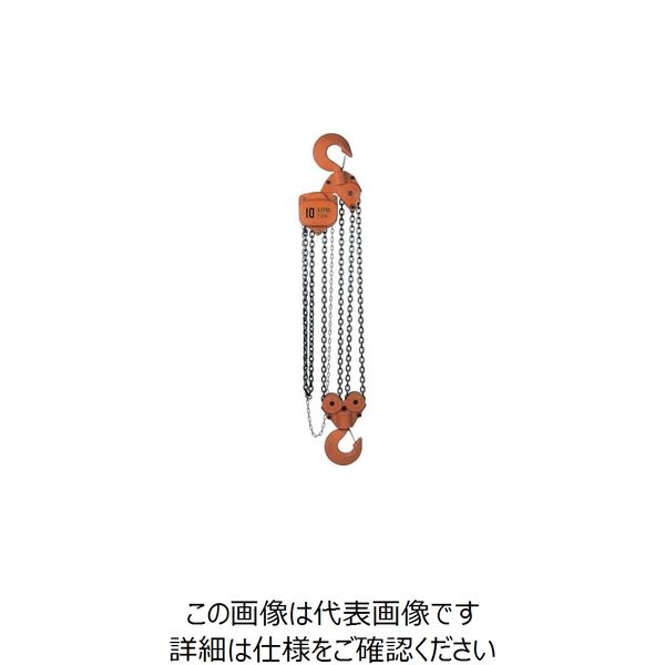 バイタル工業 バイタル チェンブロックVL5シリーズ 10t VL5-90 1台 851-5714（直送品）