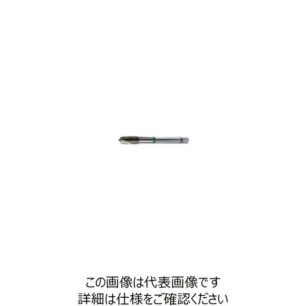 グーリングジャパン（GUHRING） ポイントタップ #1014 1014 18 1本（直送品）