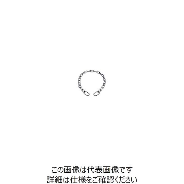 水本機械製作所 水本 ステンレス セーフティーミニチェーン チェーン長さ600mm 使用荷重0.98kN D-009 1個 849-0355（直送品）