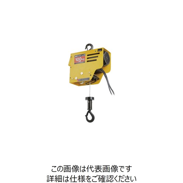 オーエッチ工業（OH工業） 電動ワイヤーホイスト DWH-100 1台（直送品）