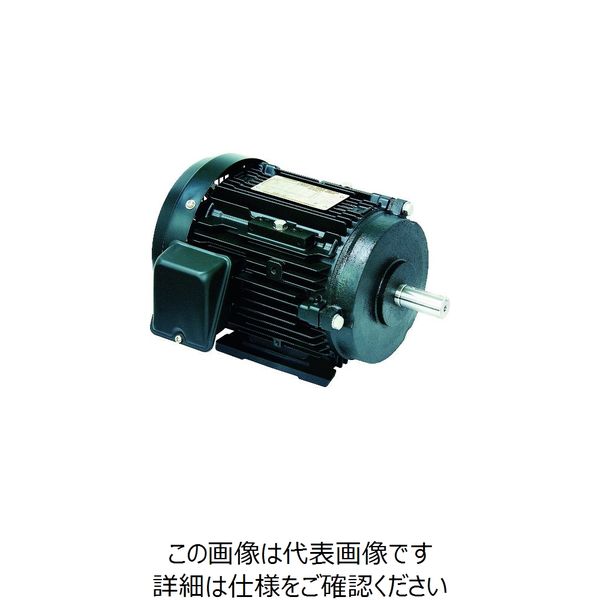 東芝産業機器システム 東芝 高効率モータ プレミアムゴールドモートル 出力45kW 馬力60HP FCK21E-2P-45KW 1個（直送品）